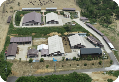 牛舎全景（正面）