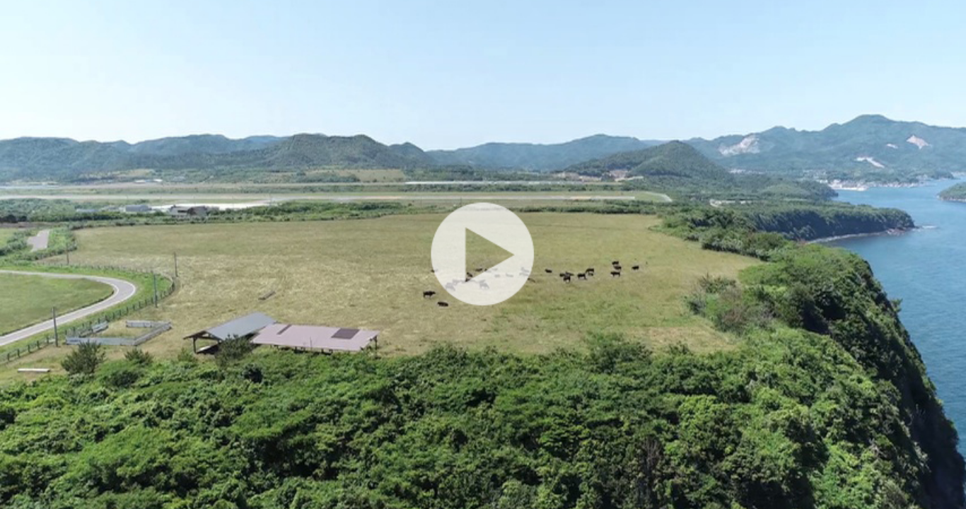 だんだん牧場イメージ