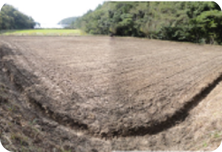 周囲に土壌を乾燥させるための素掘りの水路を堀り、圃場を耕かして完成です。