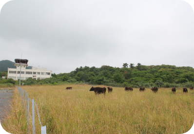 公共牧野（旧空港用地）