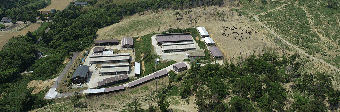 だんだん牧場イメージ